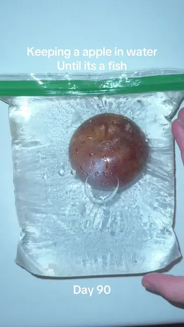 #viralchallenge #pleasedontflop #sciencefun #appleexperiment #appleexperiment 