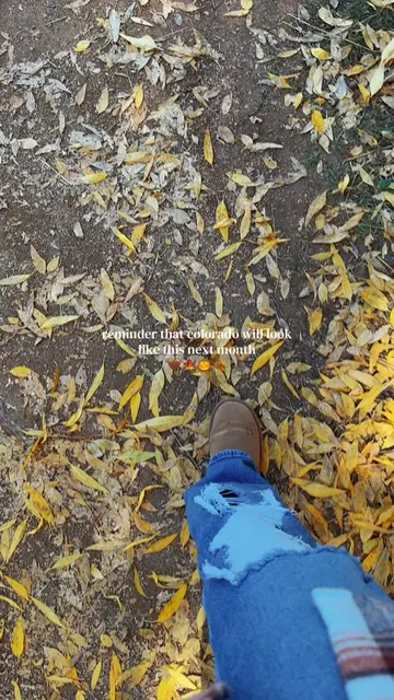Telluride in the fall needs to be on every Colorado bucket list.🍁  Check out my
