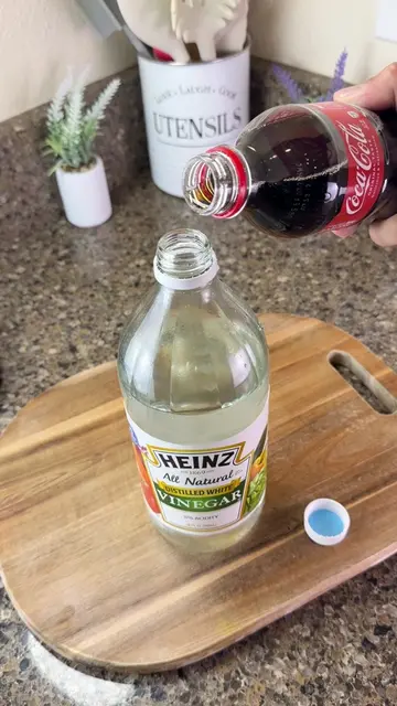 I mixed Coca-Cola with vinegar… I wasn't ready for this #clean #homehacks #deepc
