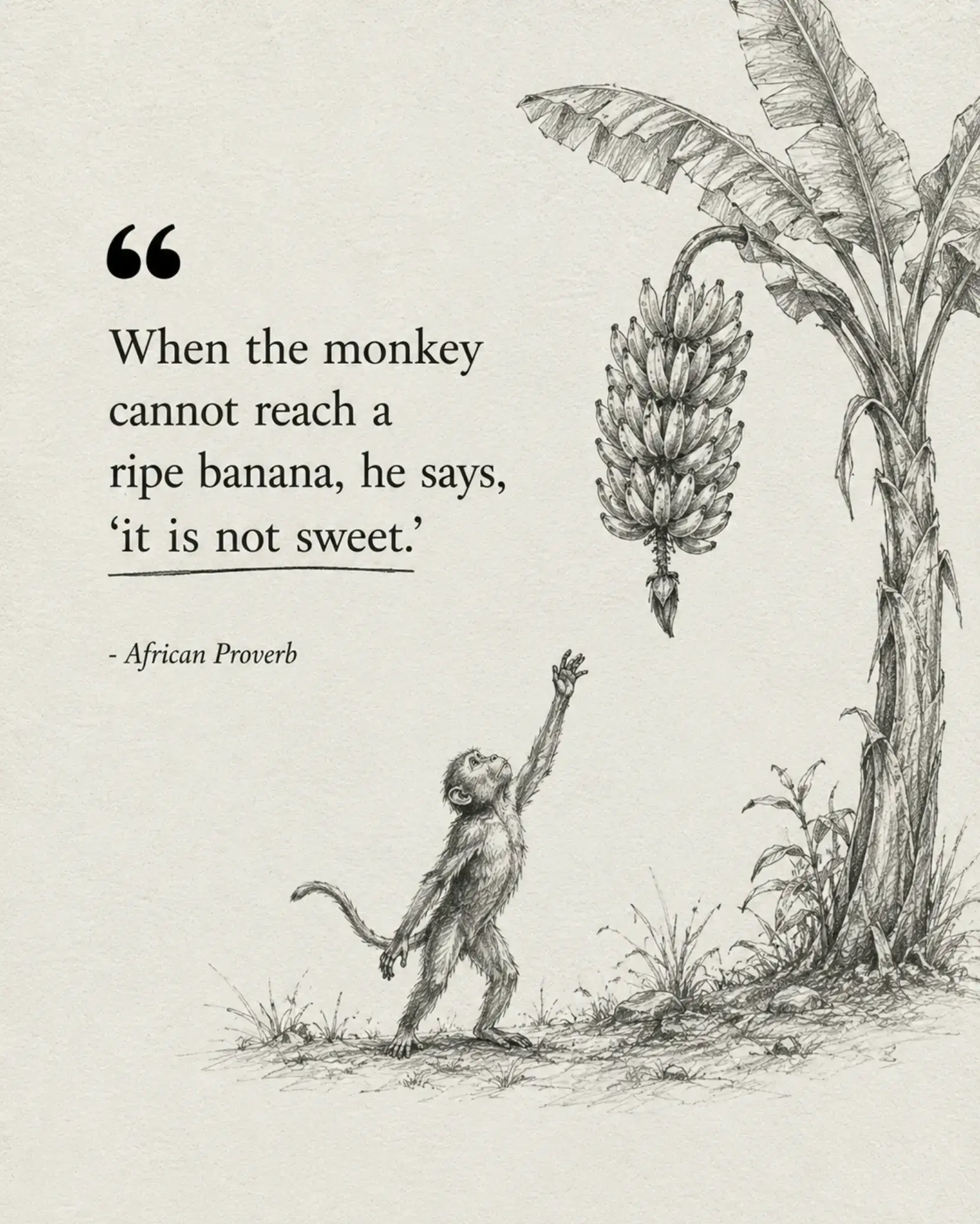 This African proverb isn't really about a monkey. It's about us. How often do pe
