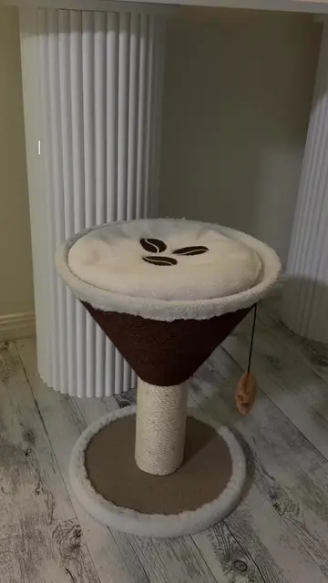 he loves it already, $29 @kmart australia ☕️🍸☁️🤎✨ #kmart #cattoys #espressomar