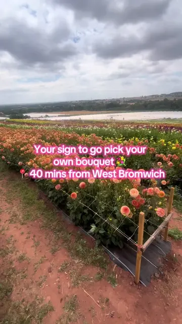 Pick your own bouquet 💐   📍 Manor Farm fruits  Starting from £5.95 … #westmidl