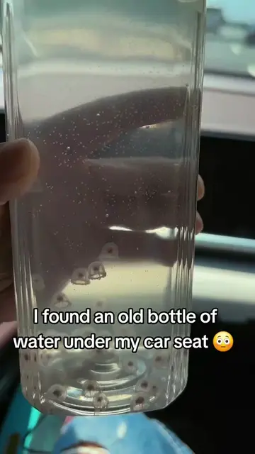 I found an old bottle of water under my car seat 😳 #mould 