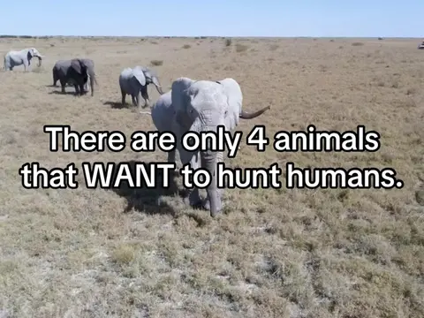The comments are off for a fucking reason. Move on with your day. #animals #anim