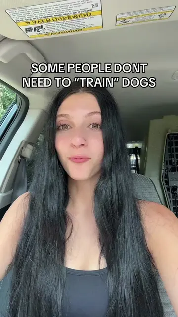 I have a headache from listening to that #puppytraining #dogtrainingtips #dogtra
