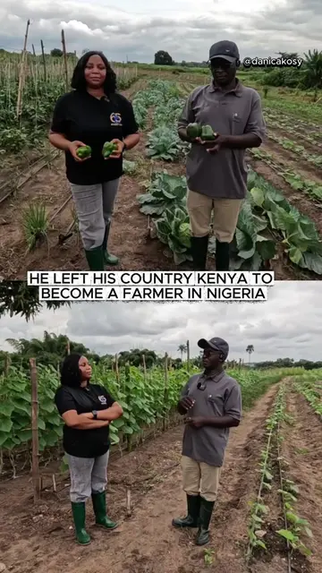 He left Kenya to become a farmer in Nigeria #fyp #entrepreneur #farming 