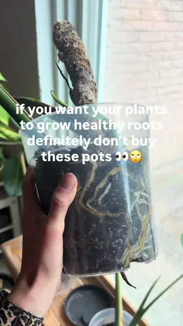 being able to see the roots + moisture level of the soil is a game changer!! I j
