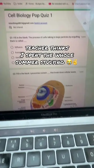 Teacher fr thinking I spent my summer studying for the new semester. Nahhhh #hig