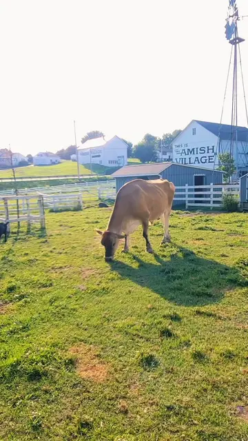 Step back in time at The Amish Village in Ronks, Pennsylvania, where history com
