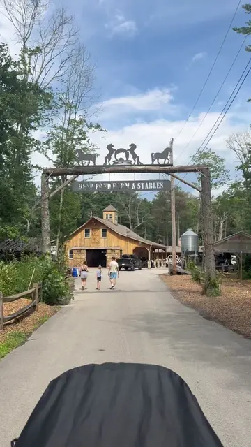 Looking for a fun (and FREE!) family outing in Massachusetts? 🐴🤍 Deep Pond Far