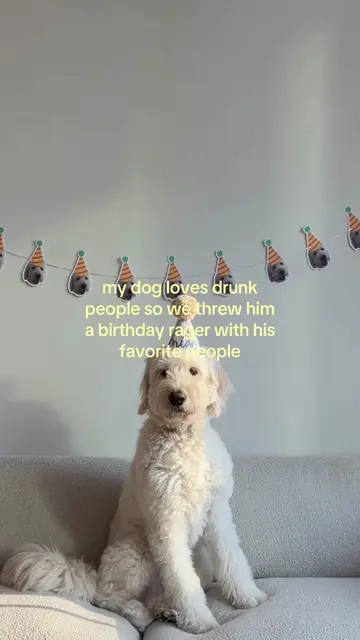 his face when we sang happy birthday 🥺 found all the cute personalized party de