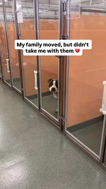 Pets are family too! 🥺🙏  We know that people hit hard times, and families need