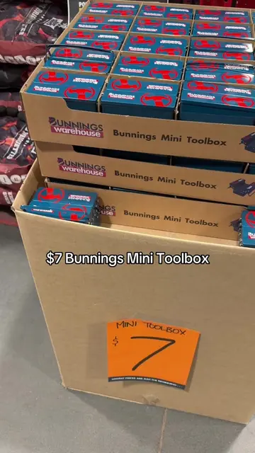@Bunnings $7 Mini Toolboxes 🧰 