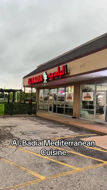 It’s actually crazy how hard it is to find good shawarma in St. Louis… so today 
