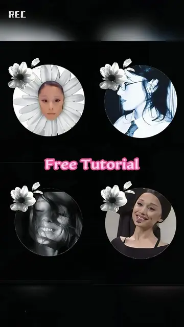 petal frame ariana grande | how to equip tiktok profile frame | olivia rodrigo l