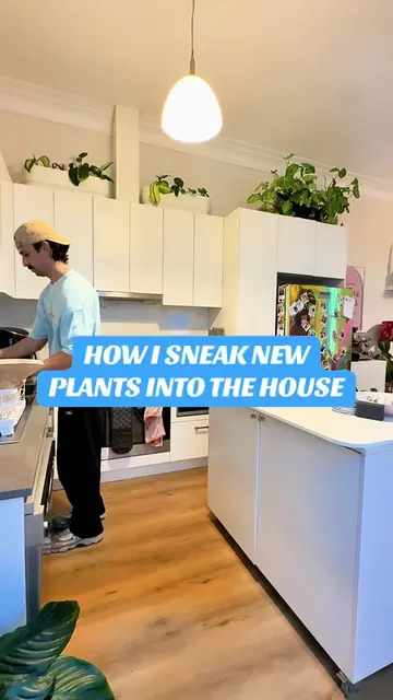 How I sneak new plants into the house 🪴 #houseplants #plantlife #plantaddict #c