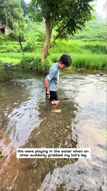 We were playing in the water when an otter suddenly grabbed my kid’s leg and the