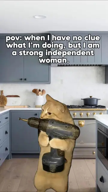 #fypシ゚viral #strong #independentwoman #icandoit #lifestruggles 