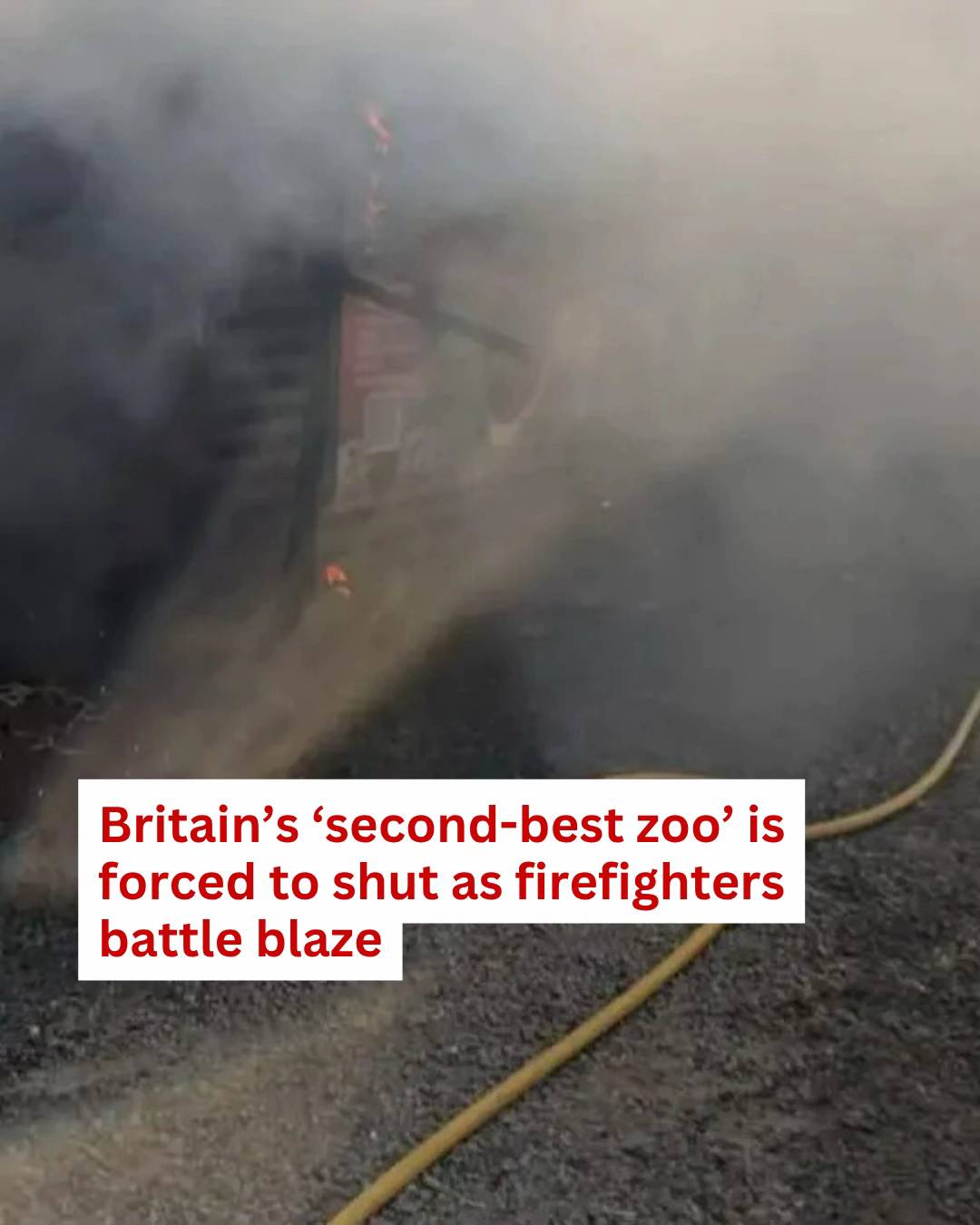 Britain's second-best zoo has been forced to shut its gates today after a fire b