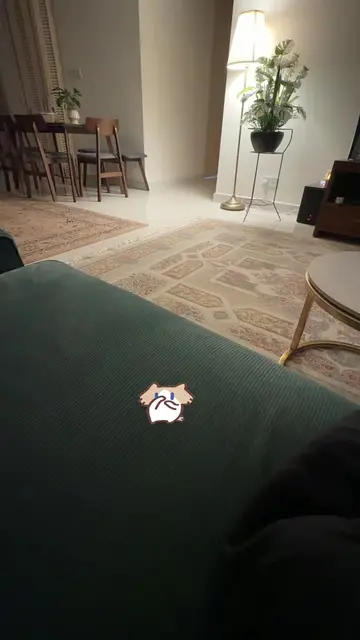 Sorry kitty 😜