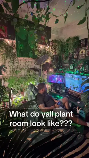 This is just my little piece of heaven 🥰🥰🪴 #PlantRoom #Plantdaddy #PlantLover