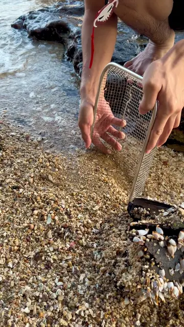 Uncovering a massive heart-shaped diamond ring hidden in the seashells! 🌊💍🤍 W