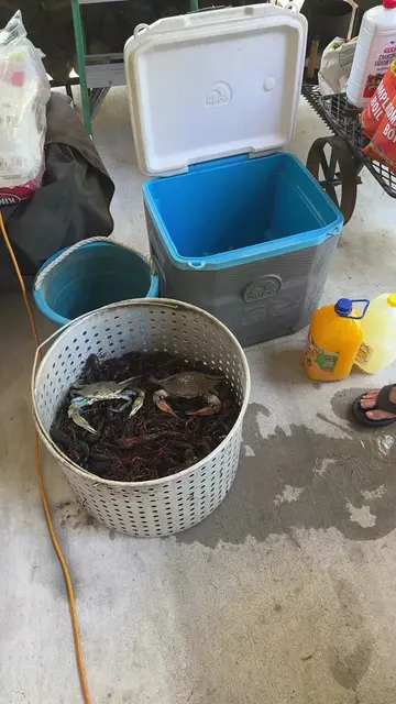 These were delicious, and the blue crab….so yummy!!! #crawfish #crawfishboil #se