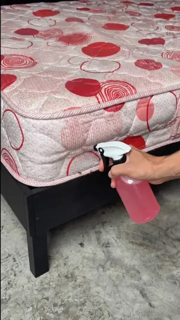 Homemade Cleaning Spray for Your Bedroom