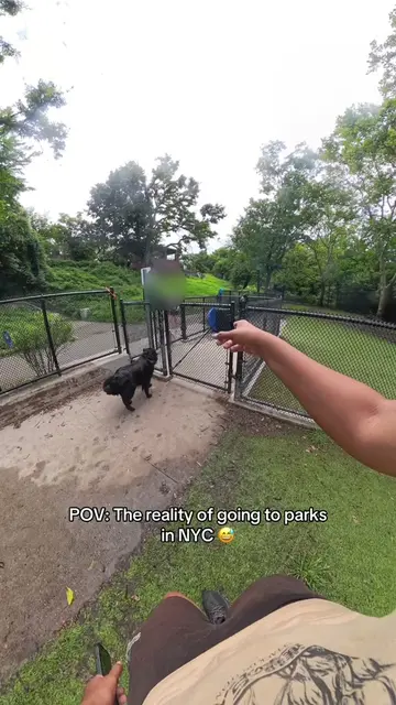 Some places have ticks, some have mosquitoes… we have rats ! 😁 #dog #dogs #dogv
