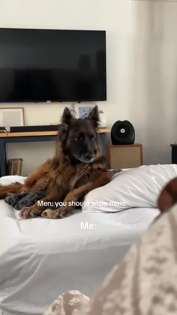 Maya is all of us. 😂.                    I can’t believe it’s been a year since