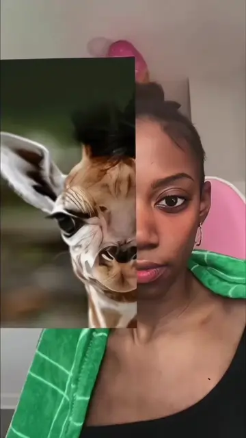 ✨This trending animal’s face filter CapCut template is super popular online🐱🐶 