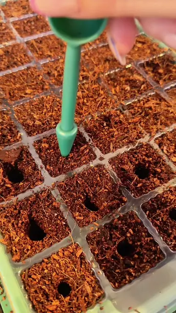 🌱 Better seedlings start with the right setup! This LED seed starter kit helps 