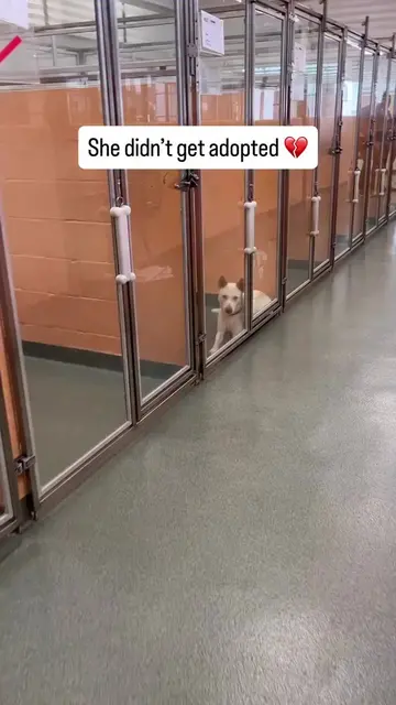 She just wants someone to notice her 🥺🙏  Sweet Tina is only 2-years-old, but s