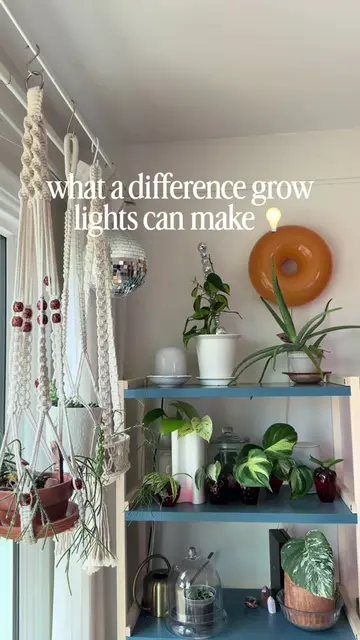 These lights give the perfect boost of light and no drilling needed 💡✨ 