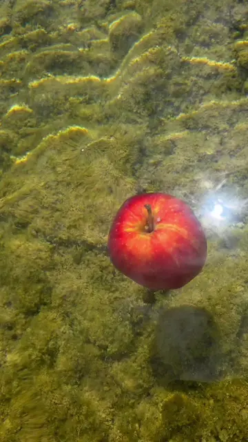 apple #apple