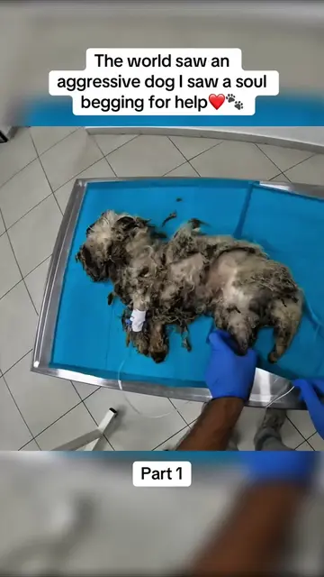 He wasn’t abandoned but somehow, he was still forgotten💔 For years, fear, pain,