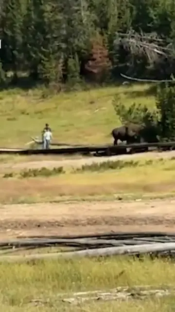 A family trip to Yellowstone National Park took a terrifying turn when a child w