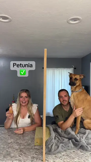 Lying Challenge... BUT we BOTH have Petunia😳😂🐶 #lyingchallenge #coupleschalle