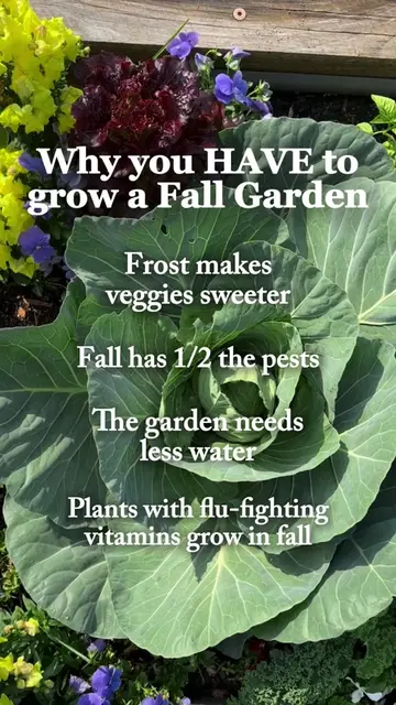 Go to my bio to join the Fall Garden Challenge It's the best time of year to gar