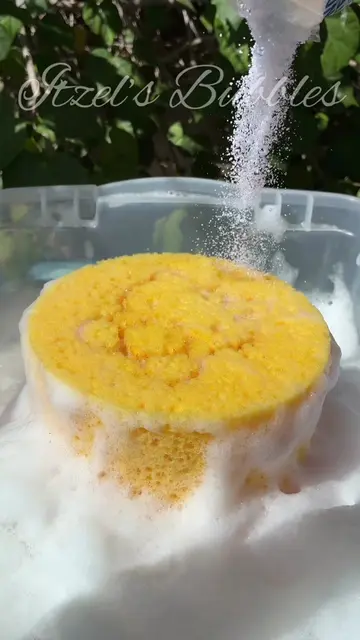 ❀ Continuing my powder series with roma !!🤍 𑣲  @🫧 Itzel’s Bubbles 🫧  @Livesb