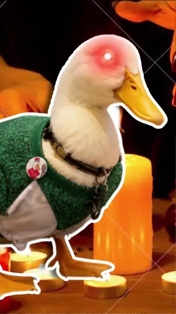 El Pato Merlín… es malo? #P#PatoMerlín#Pato. #JacoboWong. 