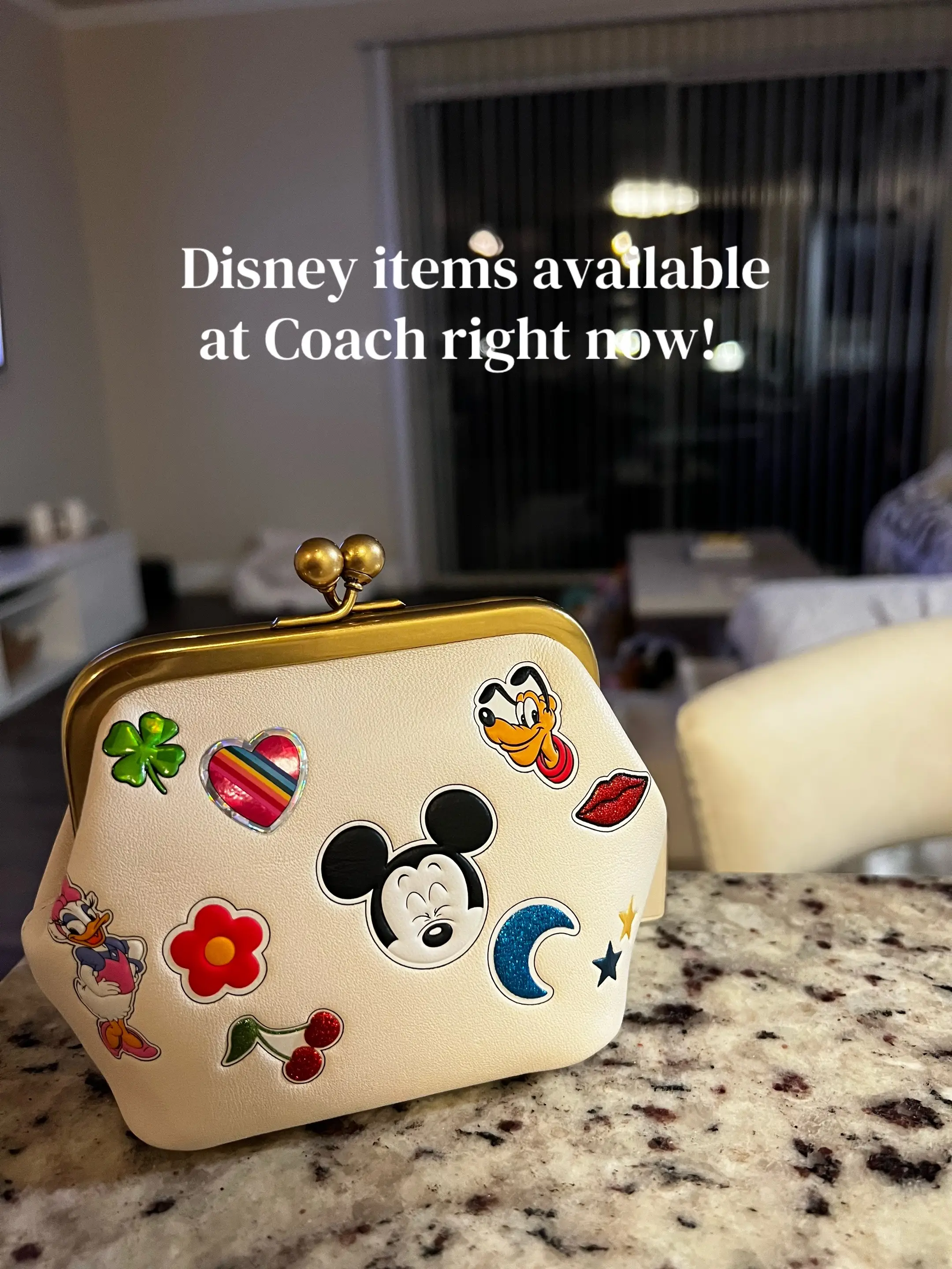 #coach #pursetok #disney #shopping #fyp 