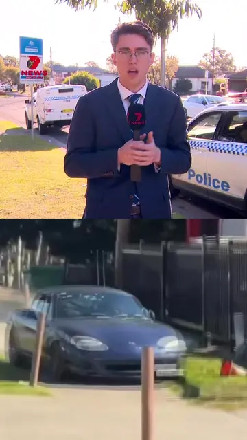 Police have been led on a wild chase along the M5 in Sydney's southwest. The pur