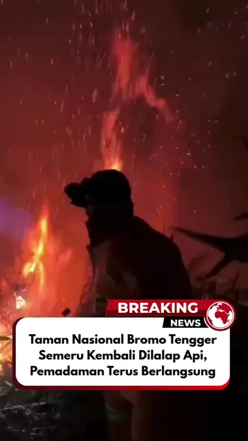 Kebakaran hutan di kawasan Taman Nasional Bromo Tengger Semeru (TNBTS), tepatnya