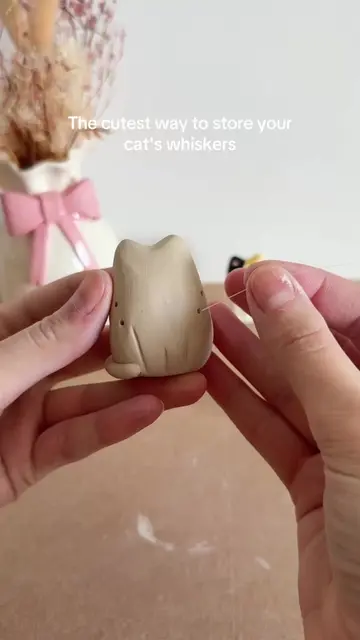 Some people collect stamps... I collect cat whiskers. 🤭🐈 Now the question is w
