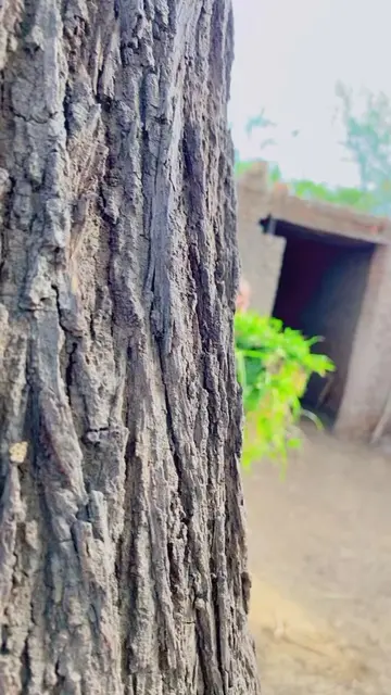 tenu chaska kafe da#tiktokgrowthchallenge #fashiontrends #viral #trending #viral