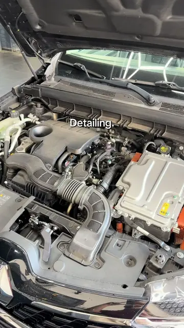 Welke transformatie vind jij het meest indrukwekkend?👇🏼 #fyp #cardetailing #be