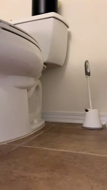 I just love @zep! That’s it, that’s the post. 🌺  #CleanTok #zep #cleaninglady 
