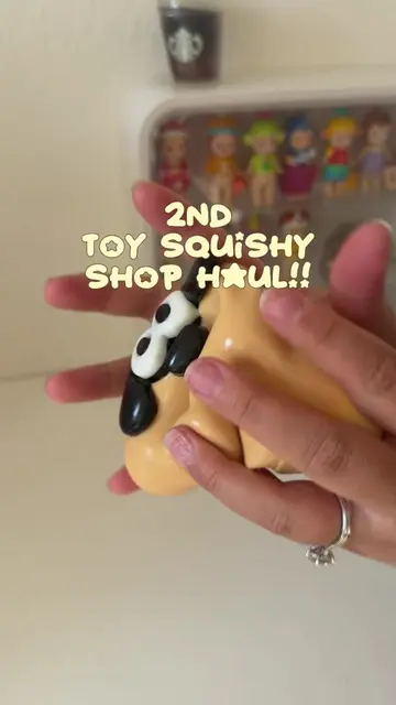 2nd squishy haul from @Toy Squishy Shop ! This shop has alot of fun and new squi