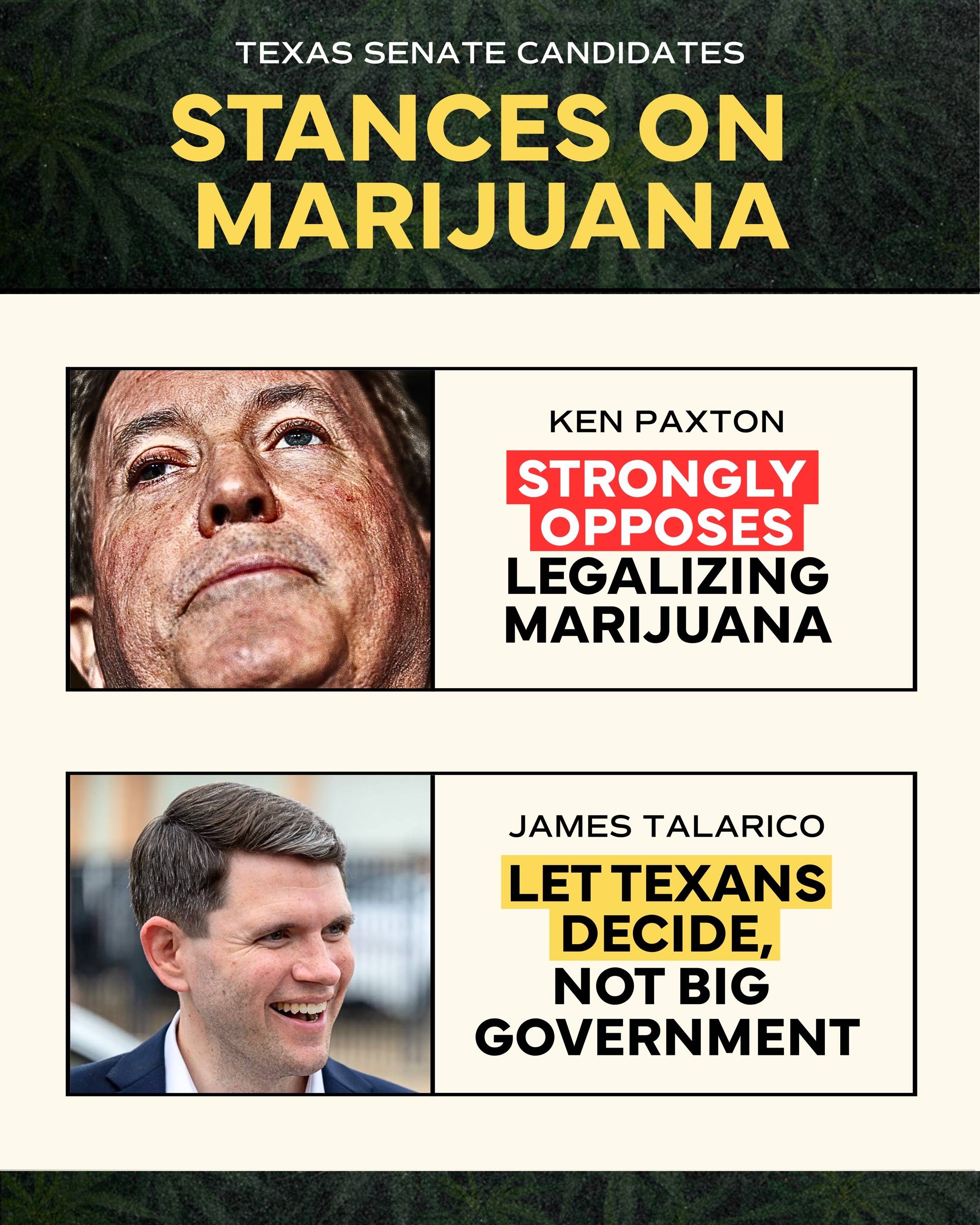 Texas has enacted a new ban on THC. Here’s where both candidates stand on the is